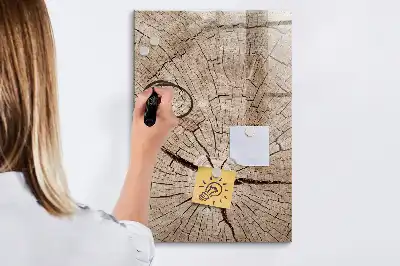 Magnetisch glazen memobord voor aan de muur met motief van een boomstam dwarsdoorsnede