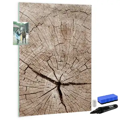 Magnetisch glazen memobord voor aan de muur met motief van een boomstam dwarsdoorsnede
