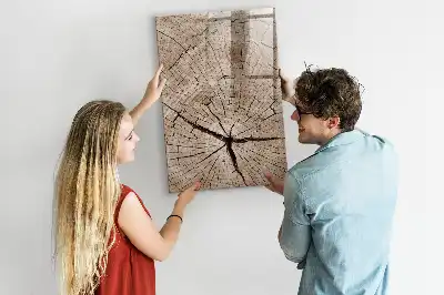Magnetisch glazen memobord voor aan de muur met motief van een boomstam dwarsdoorsnede