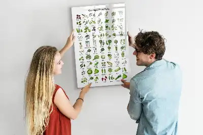Glazen magneetbord met decoratieve print groene groenten