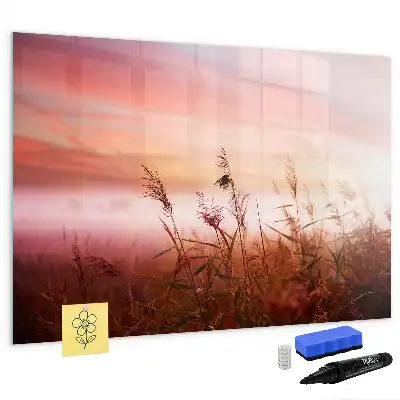 Beschrijfbaar glazen magneetbord met design Mistige ochtend