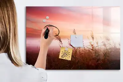 Beschrijfbaar glazen magneetbord met design Mistige ochtend