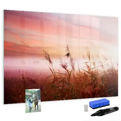 Beschrijfbaar glazen magneetbord met design Mistige ochtend