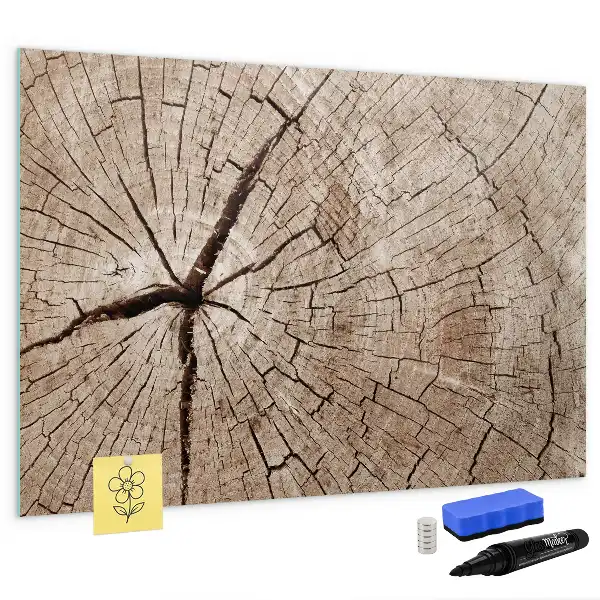 Beschrijfbaar glazen magneetbord met design van een oude boomstam