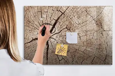 Beschrijfbaar glazen magneetbord met design van een oude boomstam