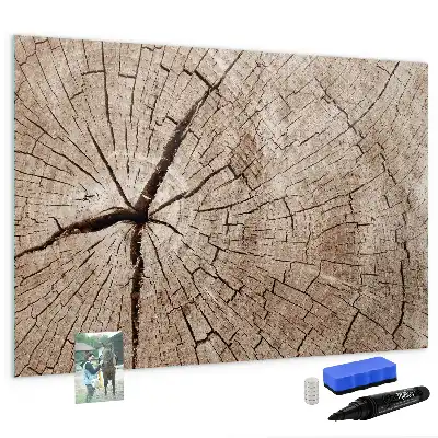 Beschrijfbaar glazen magneetbord met design van een oude boomstam