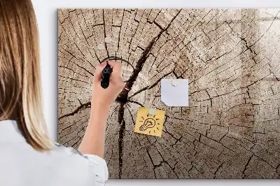 Beschrijfbaar glazen magneetbord met design van een oude boomstam