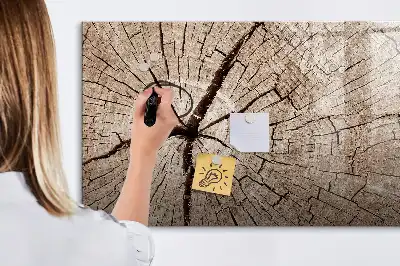 Beschrijfbaar glazen magneetbord met design van een oude boomstam