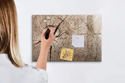 Beschrijfbaar glazen magneetbord met design van een oude boomstam