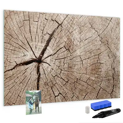 Beschrijfbaar glazen magneetbord met design van een oude boomstam