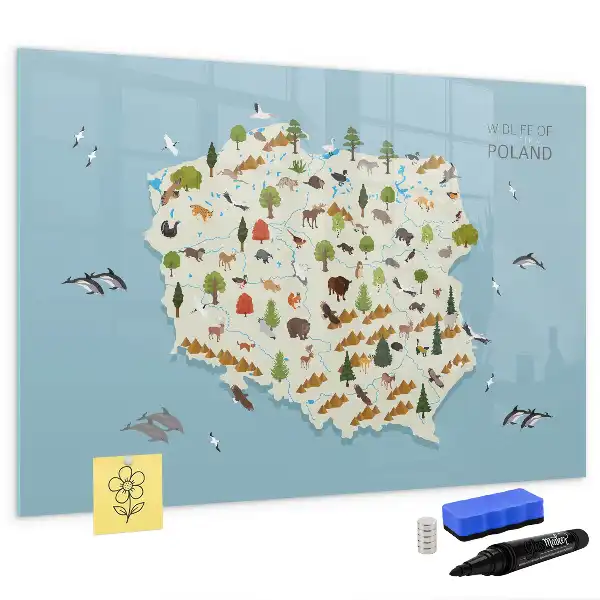 Beschrijfbaar glazen magneetbord met een ontwerp van een dierenkaart van Polen