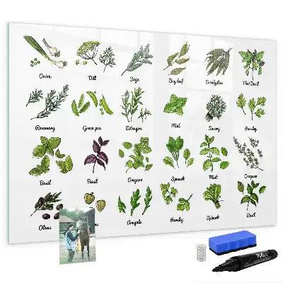 Magnetisch glazen schrijfbord met print van boomsoorten voor notities en foto's