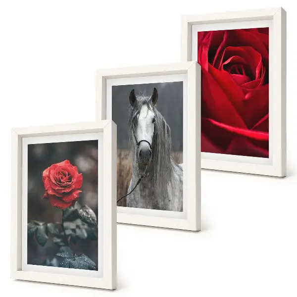 Gallery wall met rode rozen en een paard in een grijze omgeving
