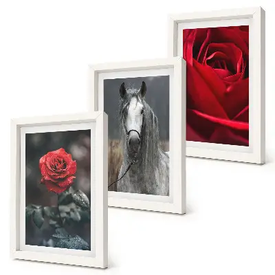 Gallery wall met rode rozen en een paard in een grijze omgeving