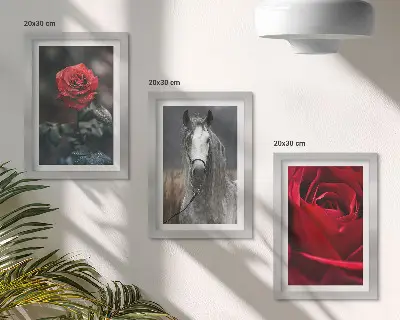 Gallery wall met rode rozen en een paard in een grijze omgeving
