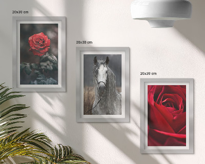 Gallery wall Rode rozen en een paard in een grijze omgeving.
