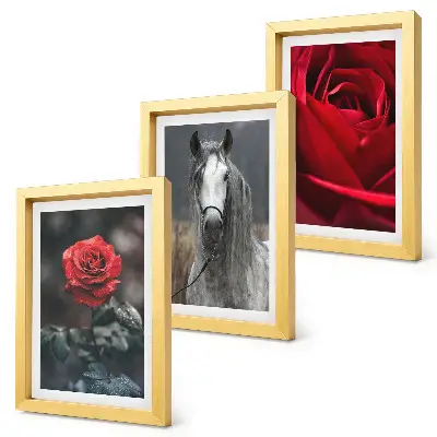 Gallery wall met rode rozen en een paard in een grijze omgeving