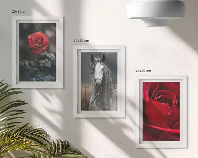 Gallery wall met rode rozen en een paard in een grijze omgeving