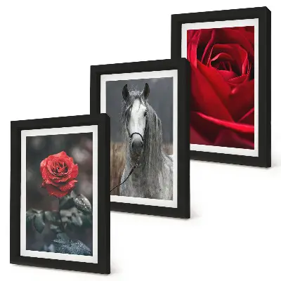 Gallery wall met rode rozen en een paard in een grijze omgeving