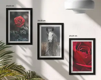 Gallery wall met rode rozen en een paard in een grijze omgeving