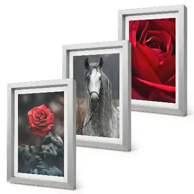 Gallery wall met rode rozen en een paard in een grijze omgeving