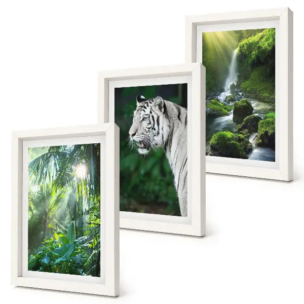 Set van ingelijste schilderijen met een jungle met een witte tijger en een wilde waterval