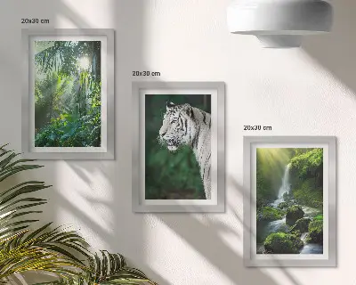 Set van ingelijste schilderijen met een jungle met een witte tijger en een wilde waterval