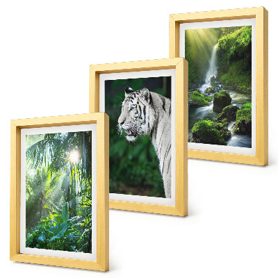 Set van ingelijste schilderijen Jungle met een witte tijger en een wilde waterval