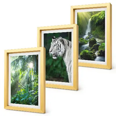 Set van ingelijste schilderijen met een jungle met een witte tijger en een wilde waterval