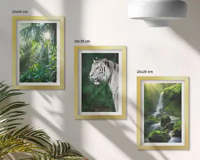 Set van ingelijste schilderijen met een jungle met een witte tijger en een wilde waterval