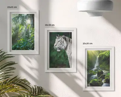 Set van ingelijste schilderijen met een jungle met een witte tijger en een wilde waterval