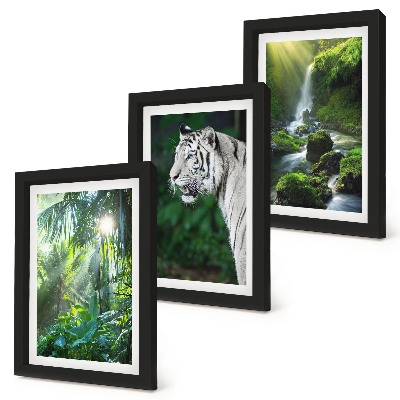 Set van ingelijste schilderijen Jungle met een witte tijger en een wilde waterval