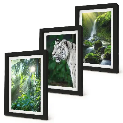 Set van ingelijste schilderijen met een jungle met een witte tijger en een wilde waterval
