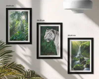 Set van ingelijste schilderijen met een jungle met een witte tijger en een wilde waterval