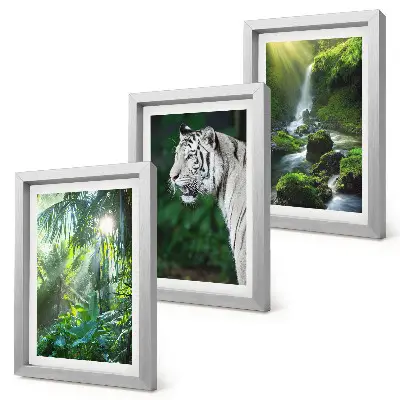 Set van ingelijste schilderijen met een jungle met een witte tijger en een wilde waterval