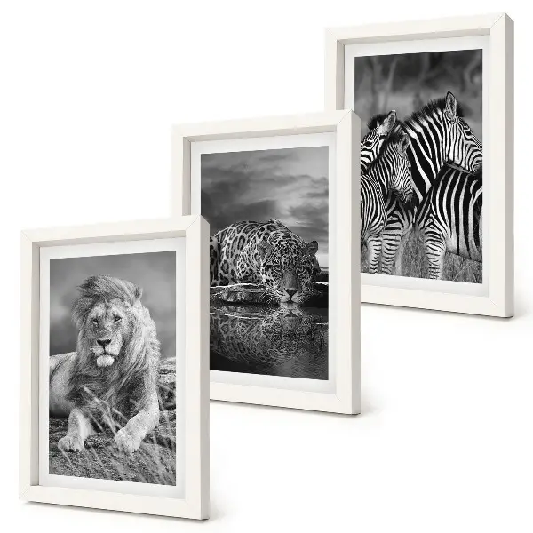Gallery wall met wilde dieren van de savanne zoals een leeuw, jaguar en zebra