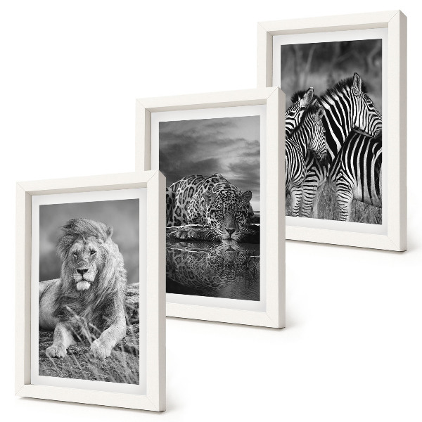 Gallery wall Wilde dieren van de savanne: leeuw, jaguar en zebra
