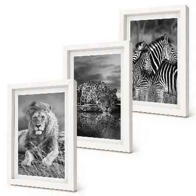 Gallery wall met wilde dieren van de savanne zoals een leeuw, jaguar en zebra