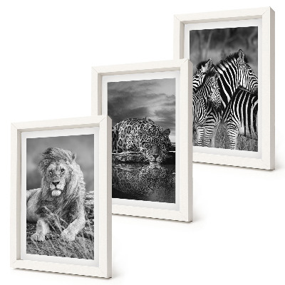 Gallery wall Wilde dieren van de savanne: leeuw, jaguar en zebra