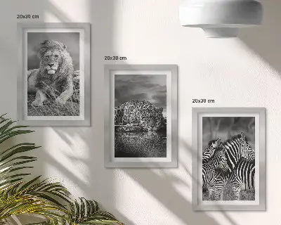 Gallery wall met wilde dieren van de savanne zoals een leeuw, jaguar en zebra