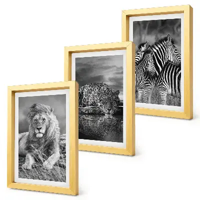 Gallery wall met wilde dieren van de savanne zoals een leeuw, jaguar en zebra