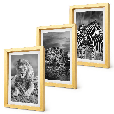 Gallery wall Wilde dieren van de savanne: leeuw, jaguar en zebra