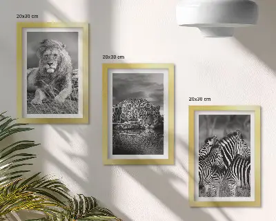 Gallery wall met wilde dieren van de savanne zoals een leeuw, jaguar en zebra