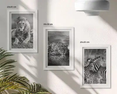 Gallery wall met wilde dieren van de savanne zoals een leeuw, jaguar en zebra