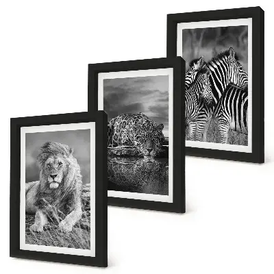 Gallery wall met wilde dieren van de savanne zoals een leeuw, jaguar en zebra