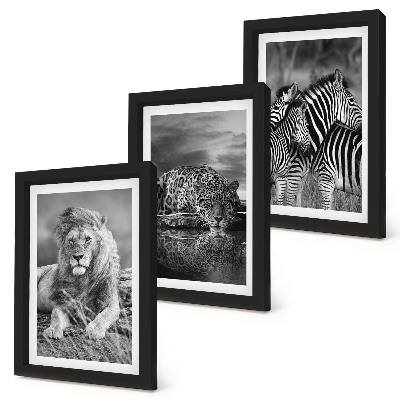 Gallery wall Wilde dieren van de savanne: leeuw, jaguar en zebra