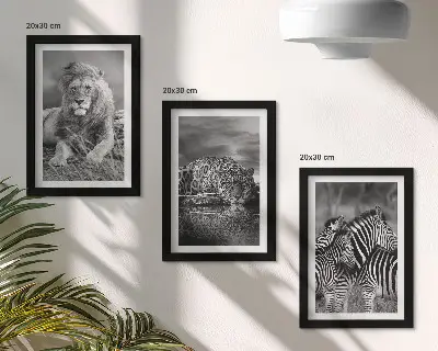 Gallery wall met wilde dieren van de savanne zoals een leeuw, jaguar en zebra