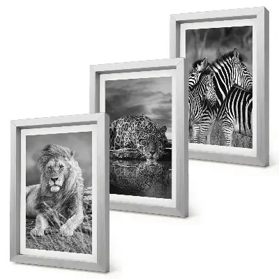 Gallery wall met wilde dieren van de savanne zoals een leeuw, jaguar en zebra