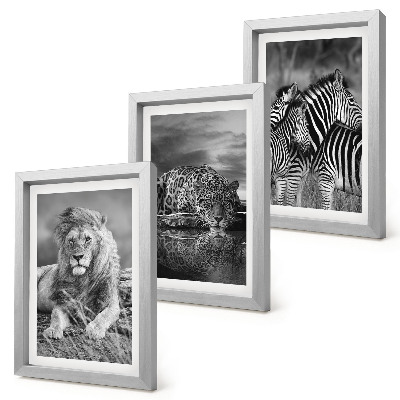Gallery wall Wilde dieren van de savanne: leeuw, jaguar en zebra