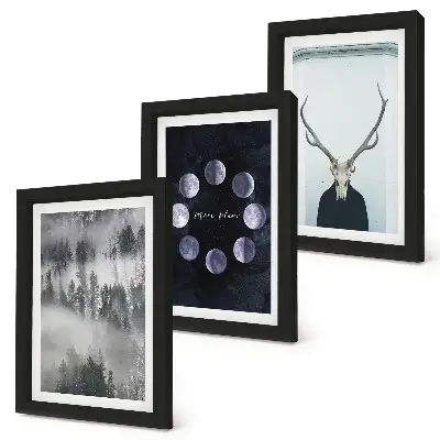 Gallery wall met boslandschap in de mist, maanfasen en hertenkop